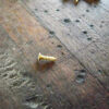 Small Gold Self Tapping Phillips Head Wood Screws - Image 7