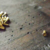 Small Gold Self Tapping Phillips Head Wood Screws - Image 5