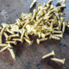 Small Gold Self Tapping Phillips Head Wood Screws - Image 4