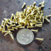Small Gold Self Tapping Phillips Head Wood Screws - Image 3