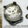 Decorative Rivets Owl Capped Silver toned 35mm x 28mm Qty 4 - Image 5