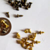 Tiny Wood screws  M2x5mm for attaching decals, nameplates, labels Pkt 100