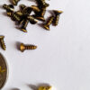 Tiny Wood screws  M2x5mm for attaching decals, nameplates, labels Pkt 100 - Image 3